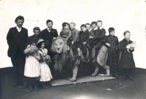 Wallace the Mounted Lion - Sunderland Museum