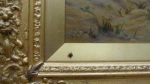 as you can see we got a free spider with our painting. aparently it had been there for some years so was beyond rescue