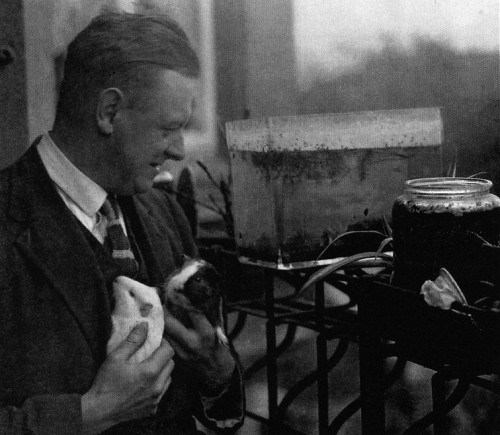 Old photo of white middle-aged man indoors holding two guinea pigs with water-filled glass jars and cases in background