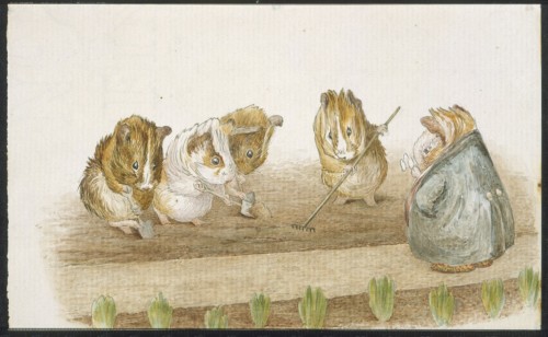'Guinea Pigs Gardening' by Beatrix Potter, courtesy of F. Warne Co., V&A Museum