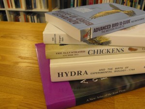 A selection of new books