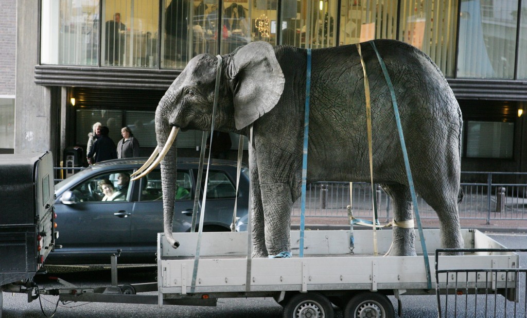 The life size elephant arriving at the new museum 