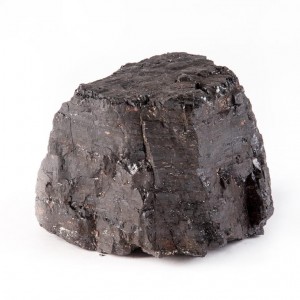 Coal mined from Westoe Colliery, South Shields