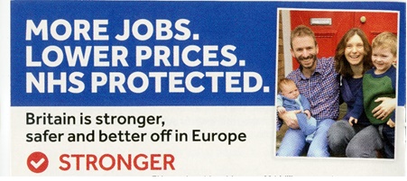 'Britain Stronger in Europe' campaign leaflet claiming that staying in the EU will protect the NHS